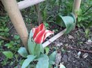 DSC00400