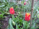 DSC00403