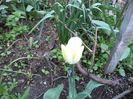 DSC00405