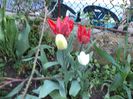 DSC00407
