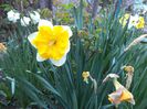 DSC00409