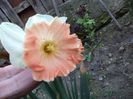 DSC00411