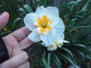 DSC00412