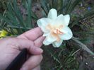 DSC00415