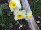 DSC00418