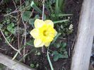 DSC00421
