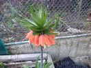 DSC00422