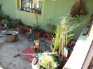 DSC00438