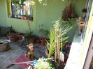DSC00439