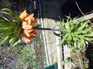 DSC00447