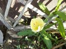 DSC00479