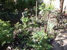 DSC00513
