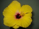 DSC06634
