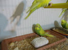 Picture 001