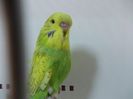 Picture 002