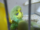 Picture 004
