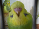 Picture 012