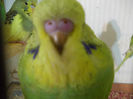 Picture 013