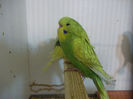 Picture 015