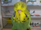 Picture 017