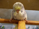 Picture 031