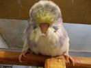 Picture 032