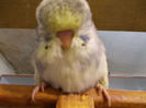 Picture 034