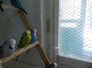 Picture 037