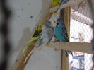 Picture 041