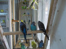 Picture 046