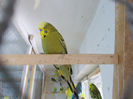 Picture 047