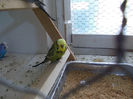 Picture 048