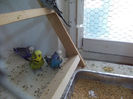 Picture 052