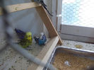 Picture 053