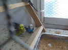 Picture 054