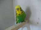 Picture 075