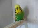 Picture 076