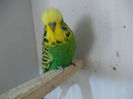 Picture 078