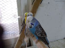 Picture 086