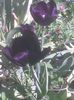 Imag0566