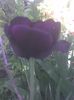 Imag0564
