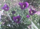 Imag0558