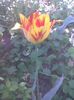 Imag0557