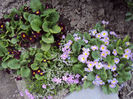 DSC03002