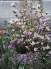 DSC03005