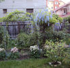 DSC03172