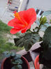 DSC03208