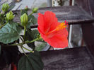 DSC03209