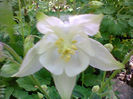 Fotogr.1084