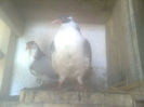 Image0519